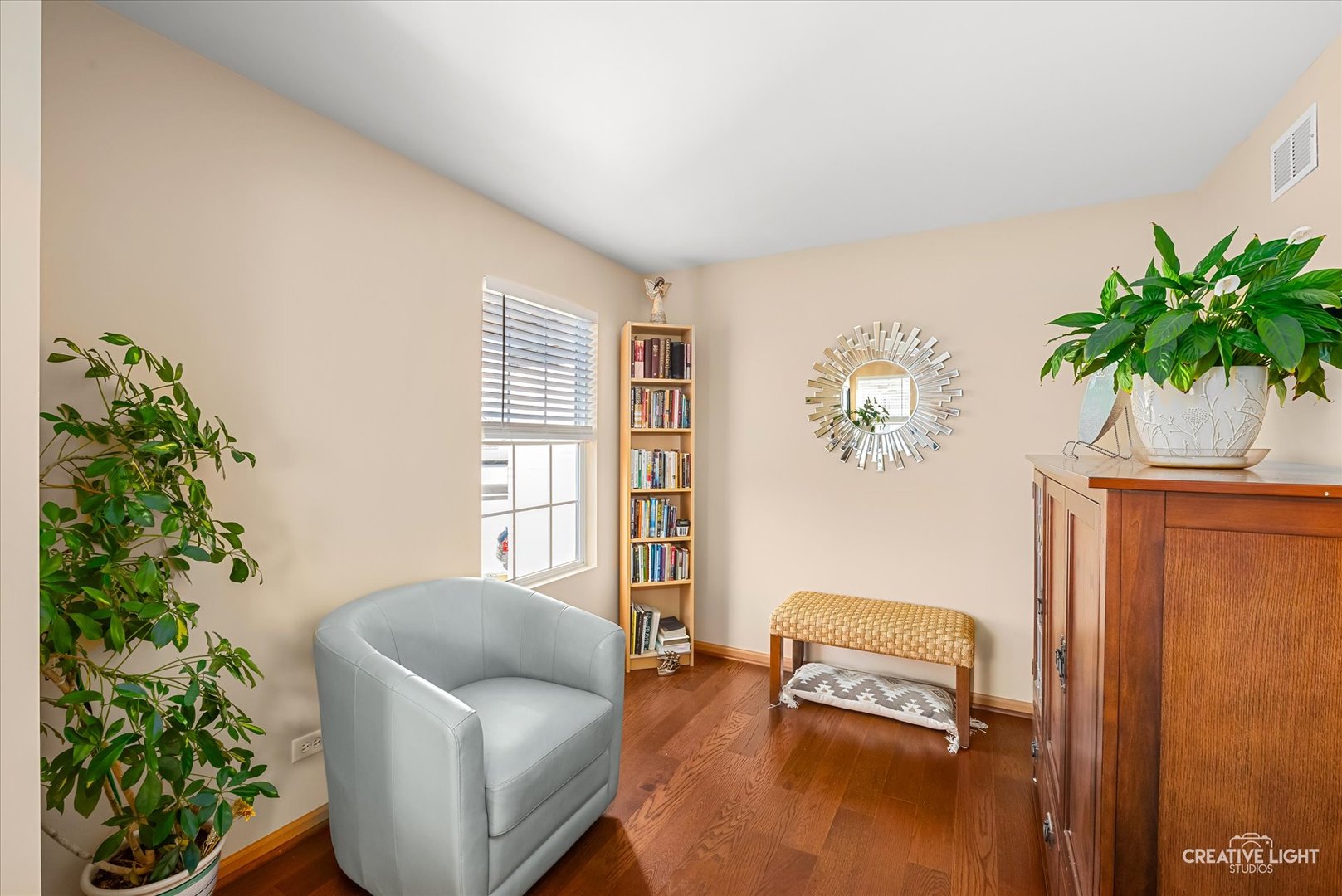 24336 W Apple Tree Lane, Plainfield, IL 60585