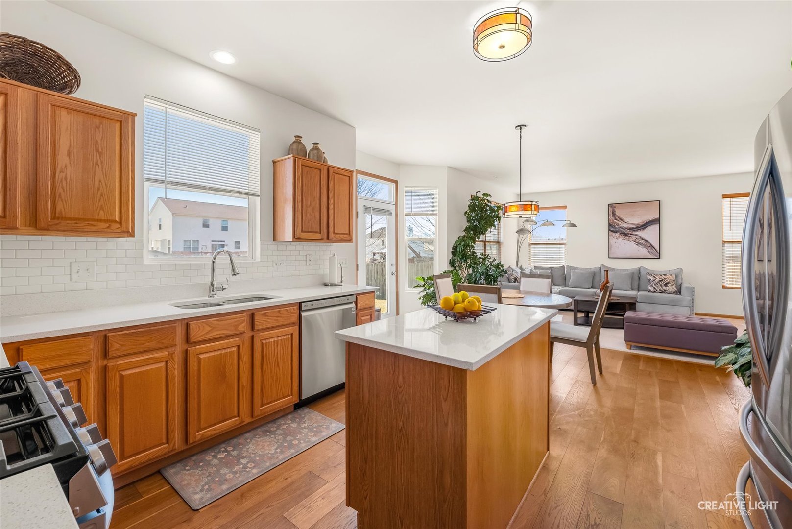 24336 W Apple Tree Lane, Plainfield, IL 60585