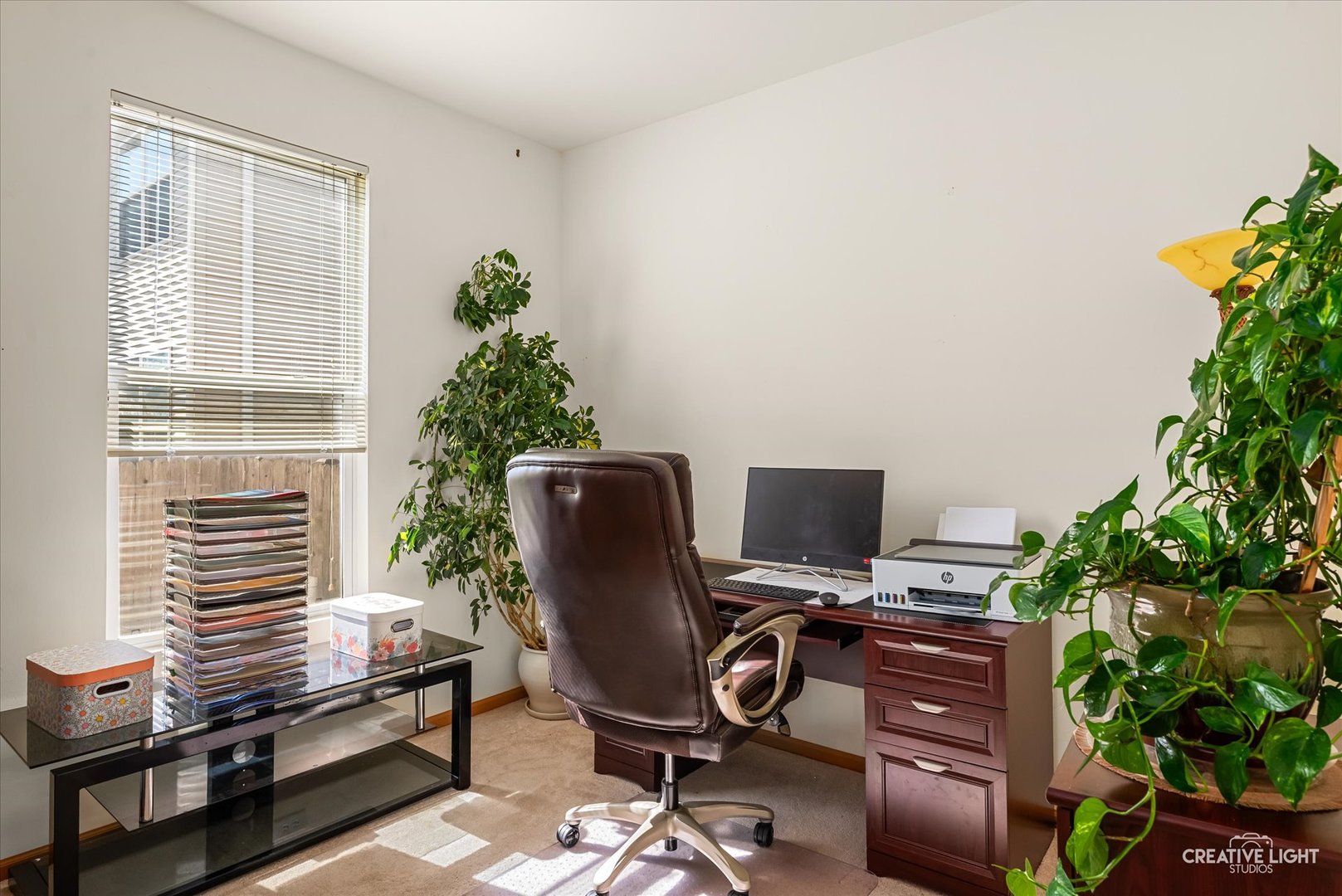 24336 W Apple Tree Lane, Plainfield, IL 60585