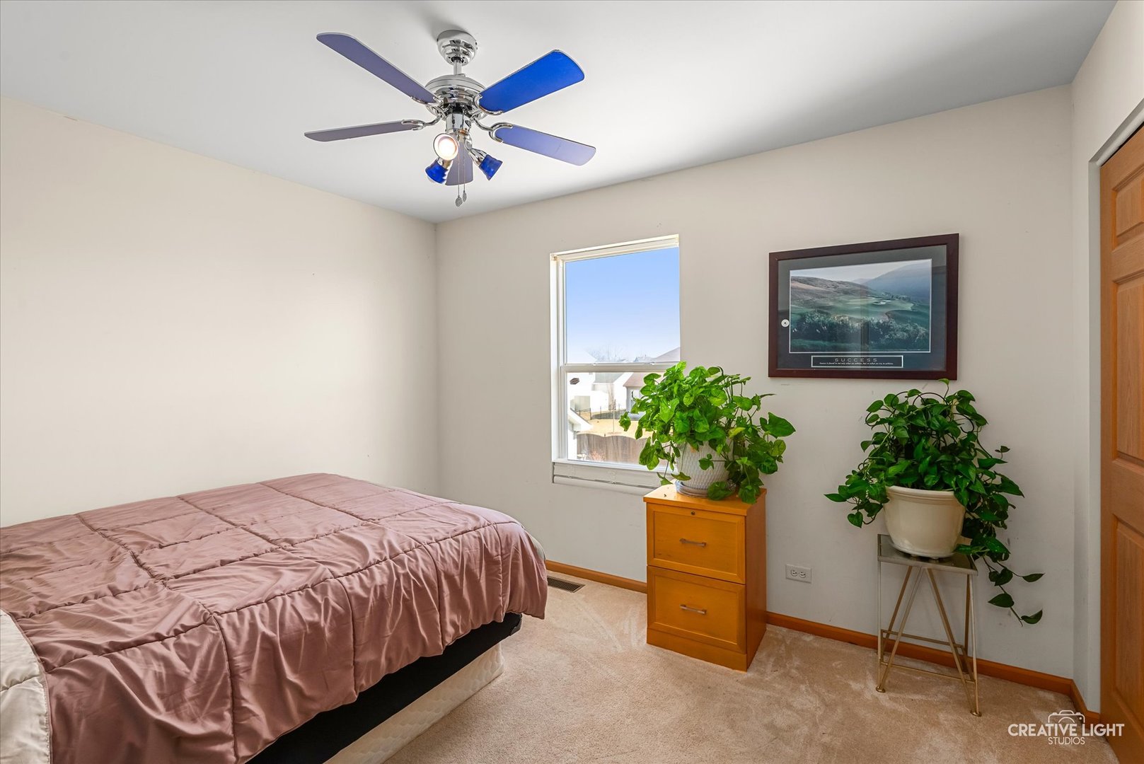 24336 W Apple Tree Lane, Plainfield, IL 60585