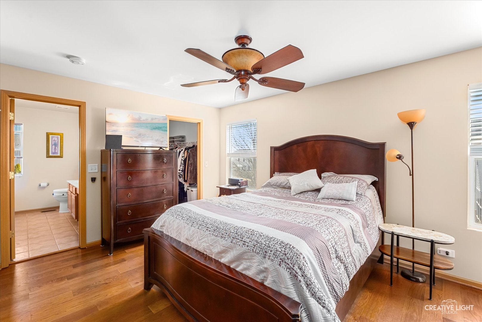 24336 W Apple Tree Lane, Plainfield, IL 60585