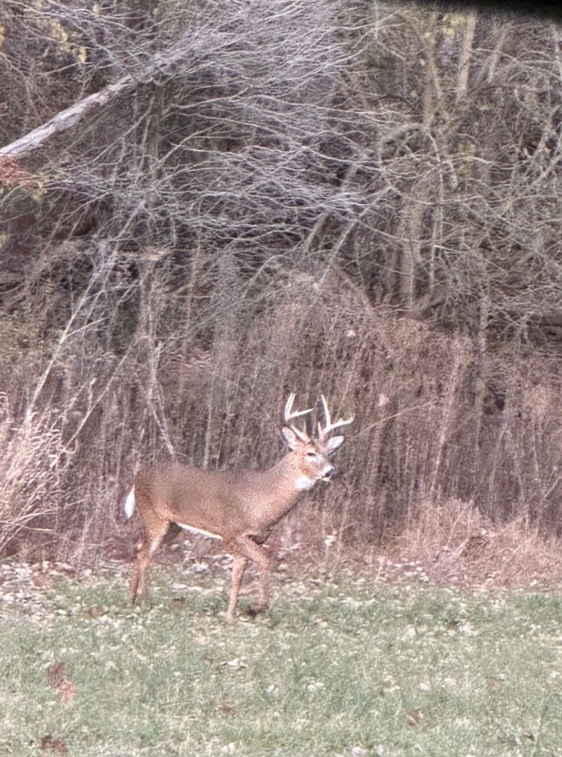 2651 N 45th. Road, Sandwich, IL 60548