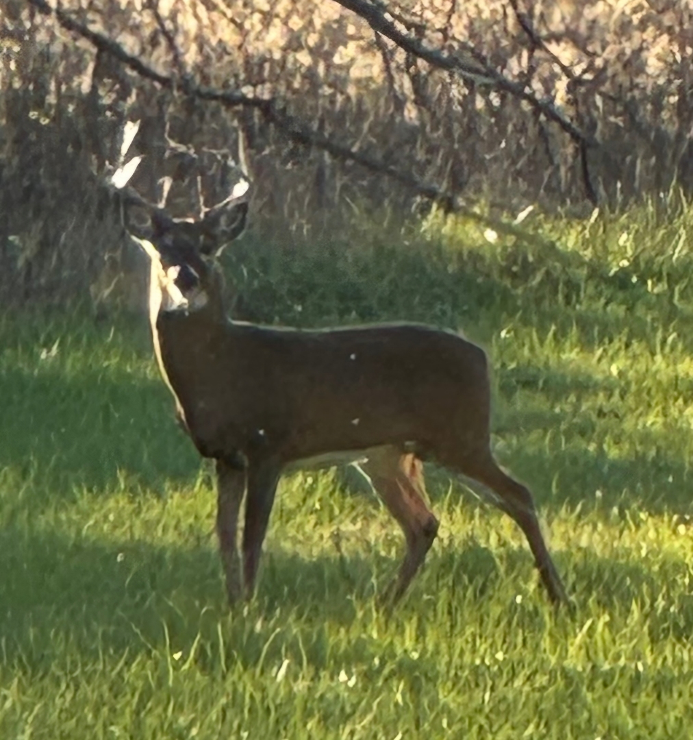 2651 N 45th. Road, Sandwich, IL 60548