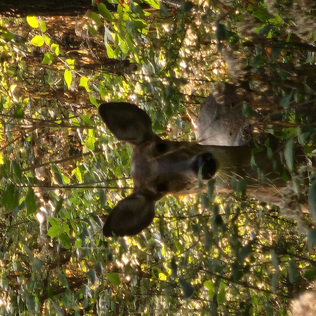 2651 N 45th. Road, Sandwich, IL 60548