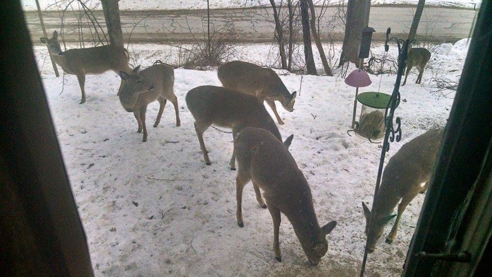 2651 N 45th. Road, Sandwich, IL 60548