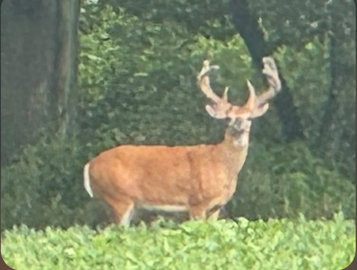 2651 N 45th. Road, Sandwich, IL 60548