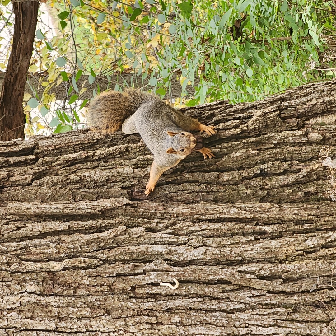 2651 N 45th. Road, Sandwich, IL 60548