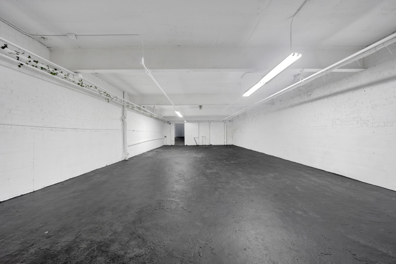 7055 N Clark Street, Chicago, IL 60626