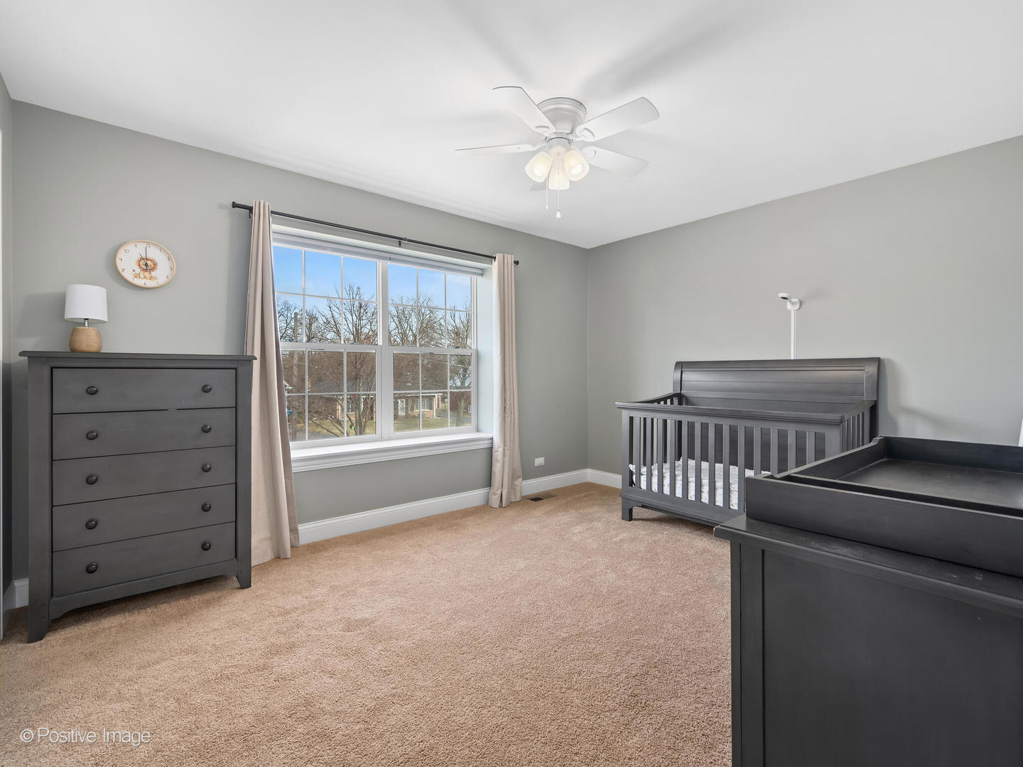 229 Grant Street, Downers Grove, IL 60515