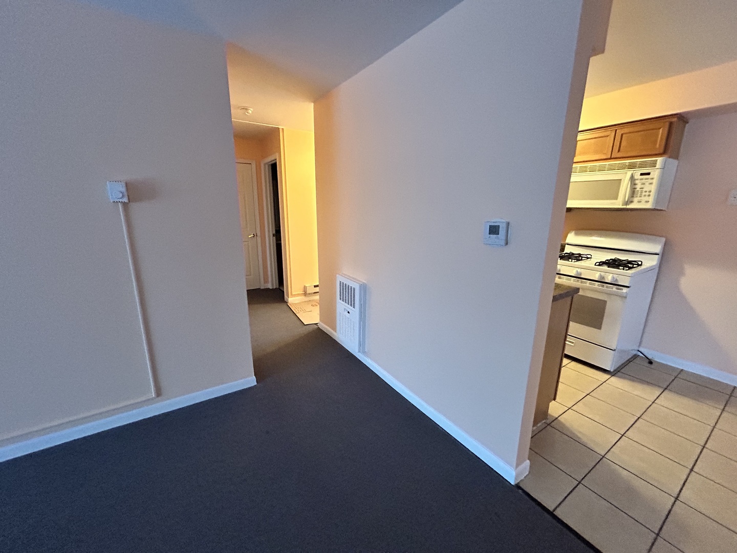 1845 White Chapel Drive #2A, Mount Prospect, IL 60056