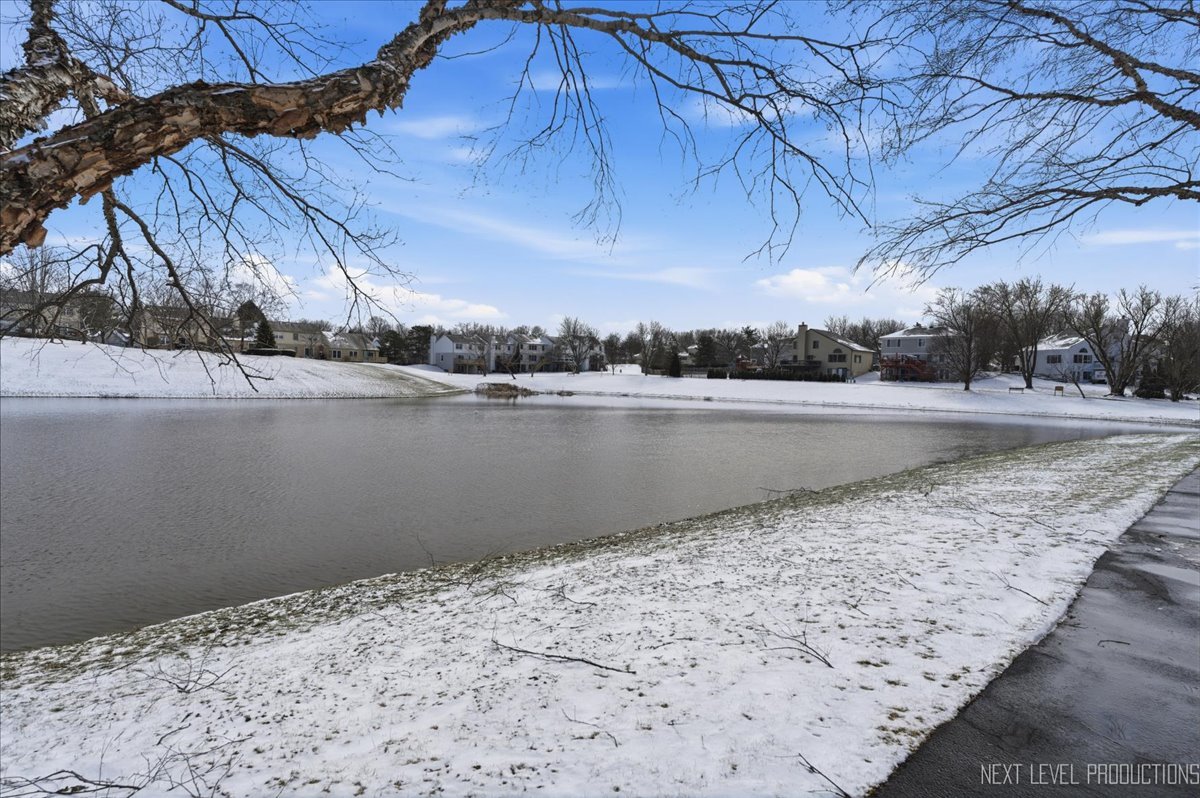 1710 Coach Drive, Naperville, IL 60565