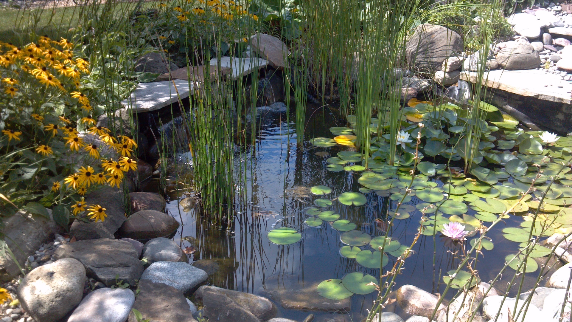 1055 Autumn Drive, Antioch, IL 60002