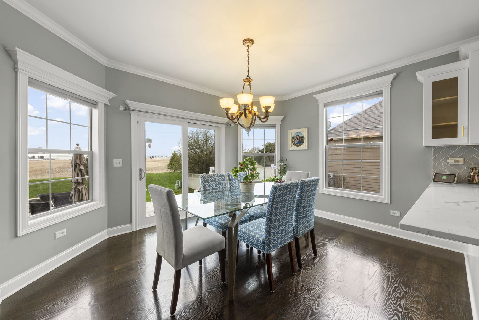 13452 SKYLINE Drive, Plainfield, IL 60585