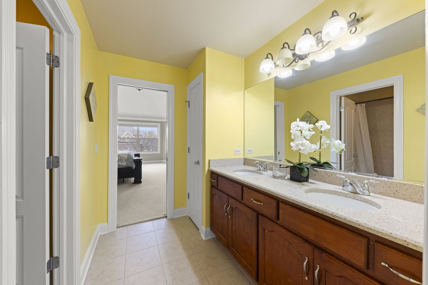 13452 SKYLINE Drive, Plainfield, IL 60585