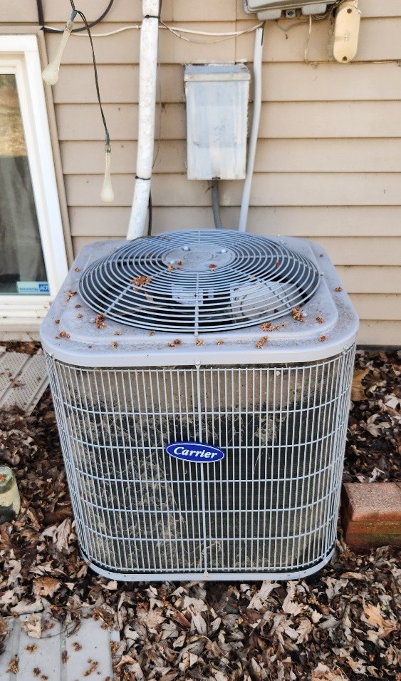 536 Irving Place, University Park, IL 60484