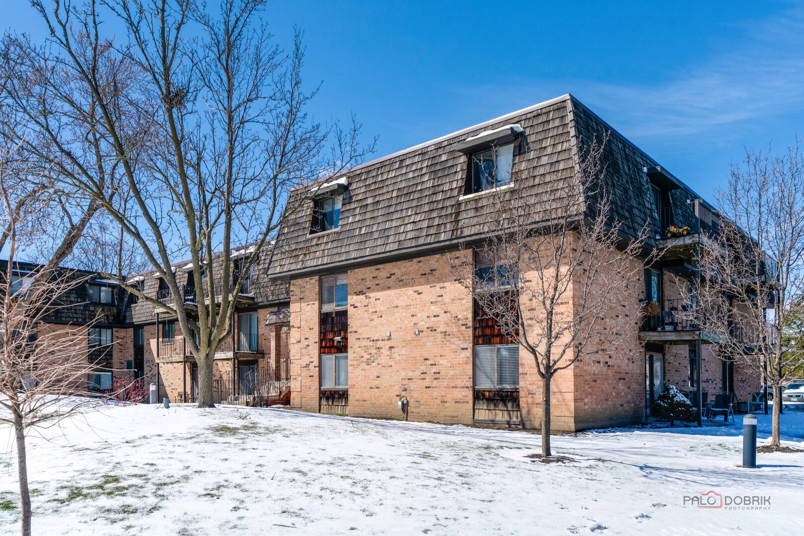 8 Oak Creek Drive #2802, Buffalo Grove, IL 60089