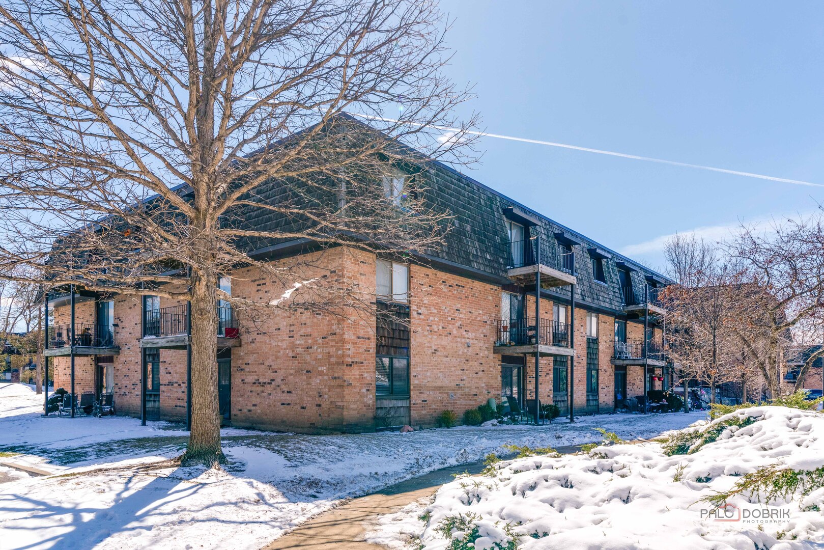 8 Oak Creek Drive #2802, Buffalo Grove, IL 60089