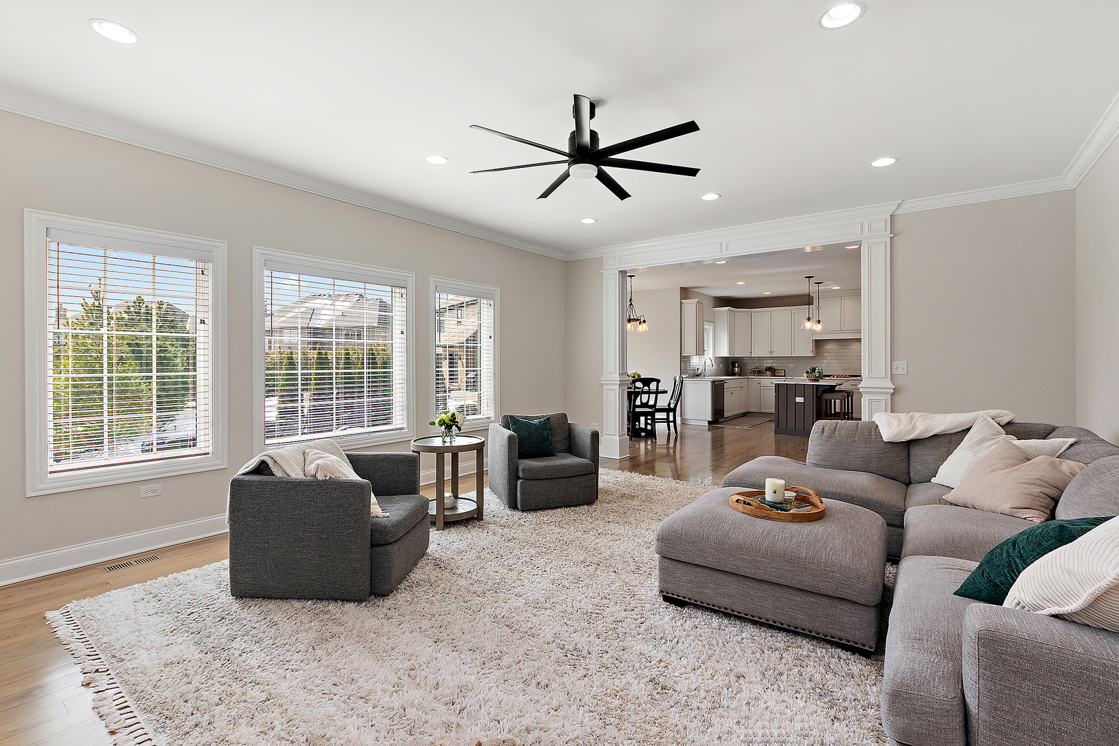 11529 Torino Way, Frankfort, IL 60423