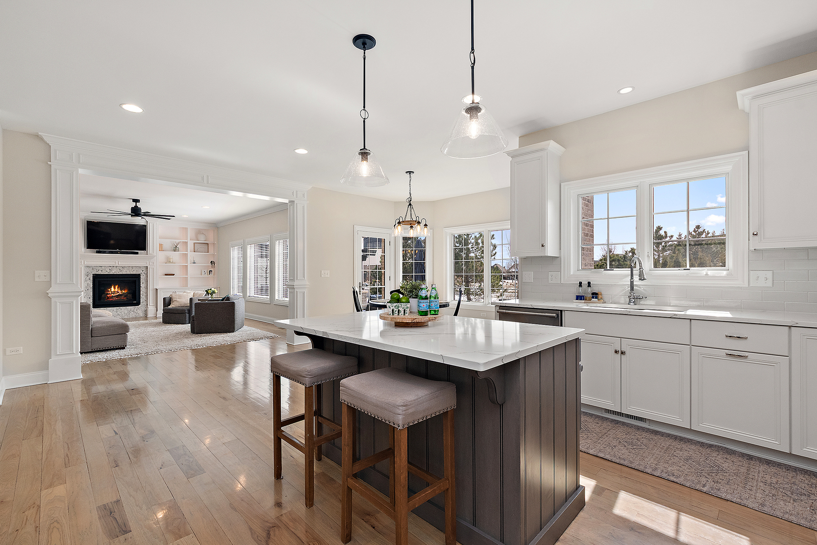 11529 Torino Way, Frankfort, IL 60423