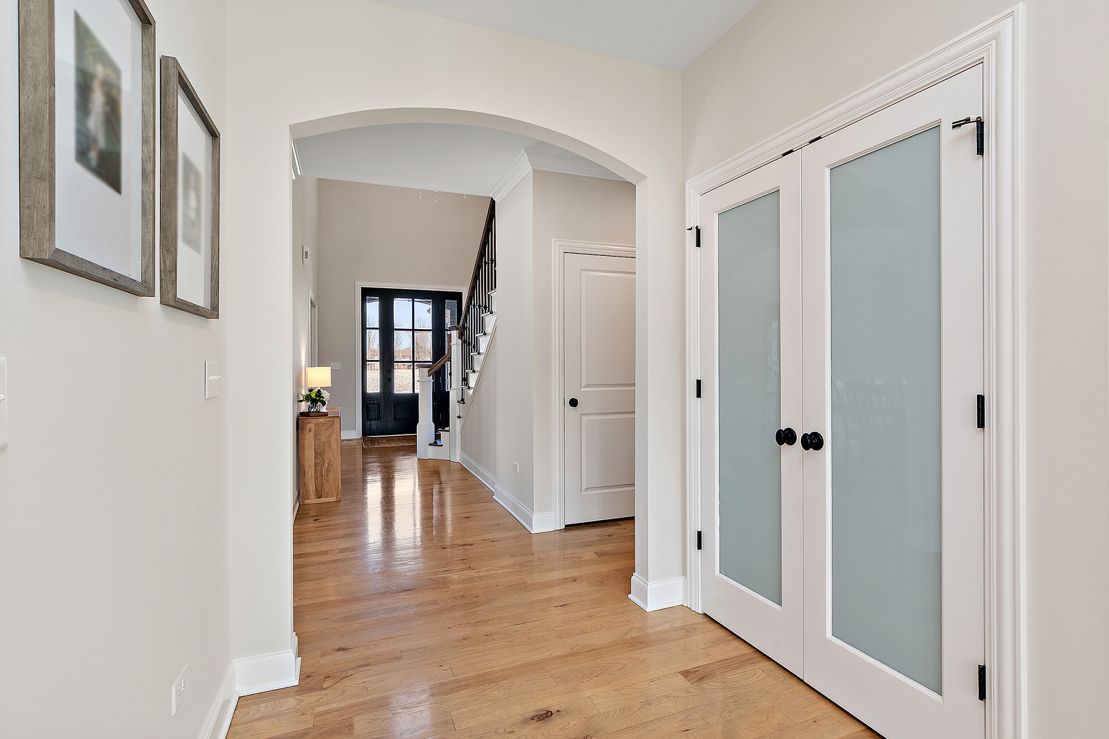 11529 Torino Way, Frankfort, IL 60423