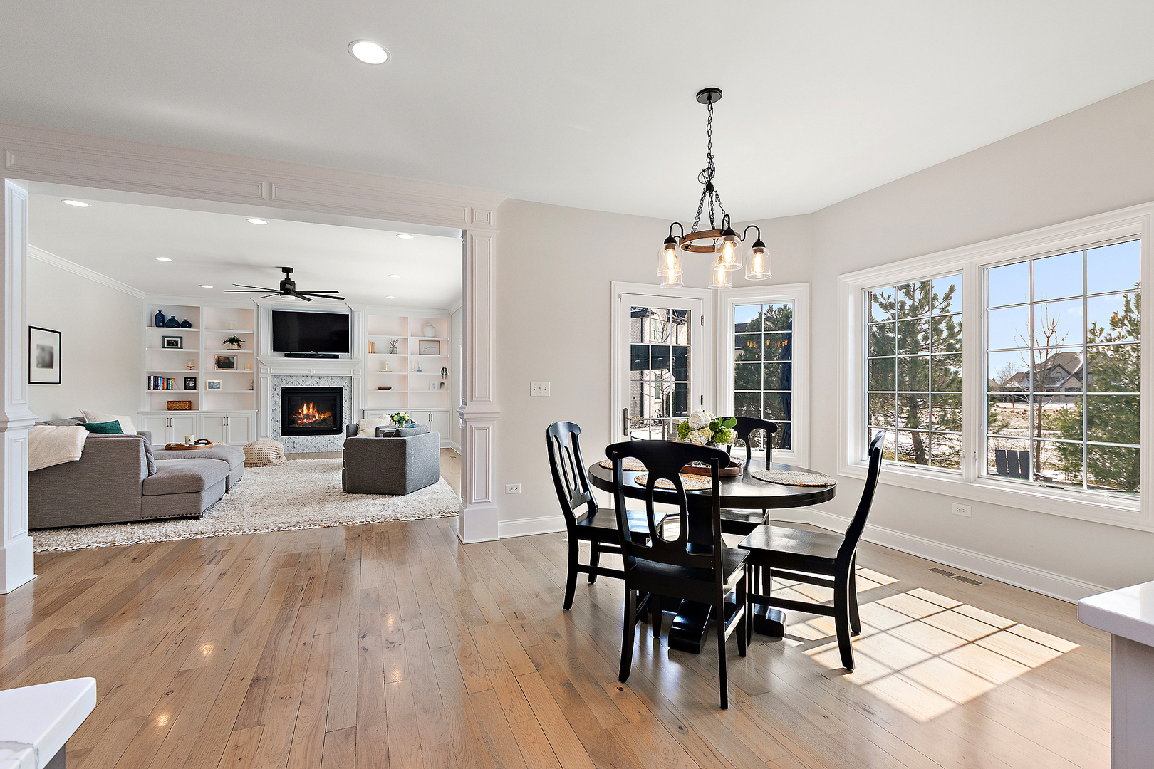 11529 Torino Way, Frankfort, IL 60423