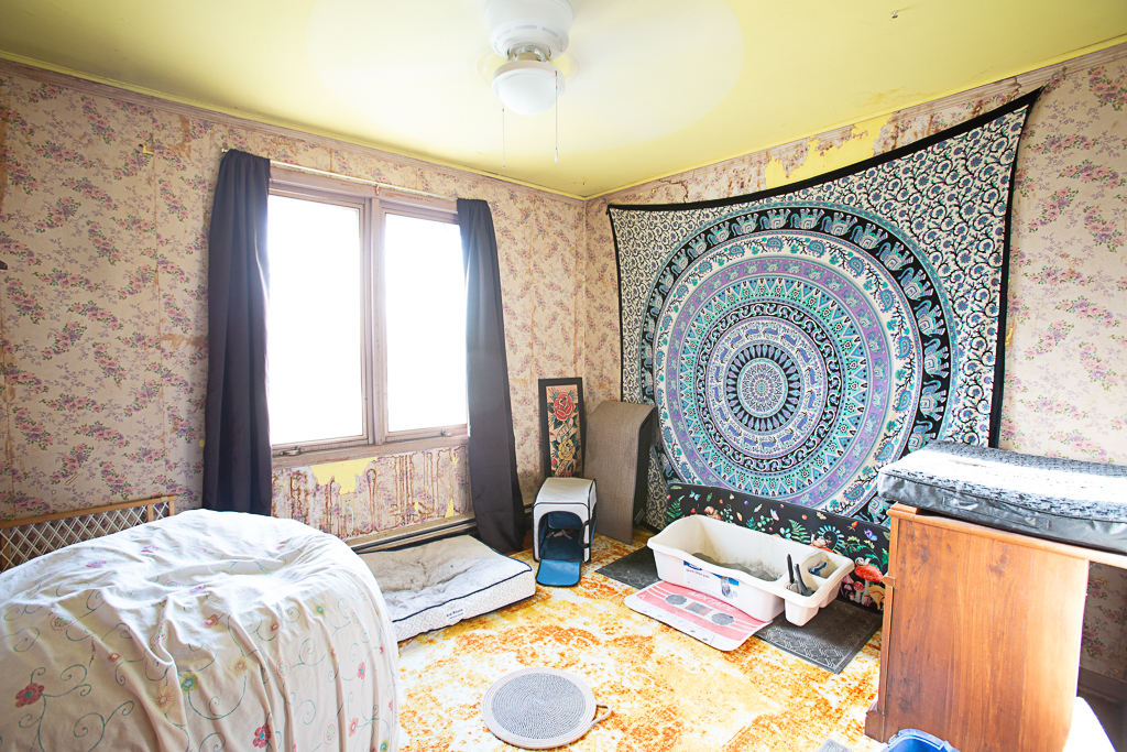 213 N 2nd Street, Secor, IL 61771