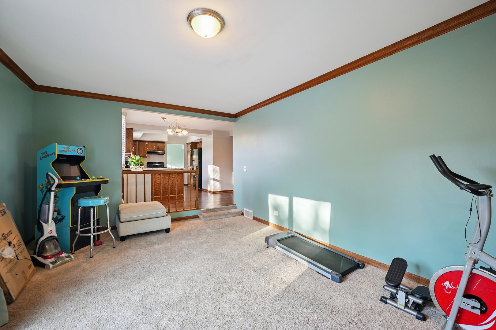 532 Shenandoah Trail, Elgin, IL 60123