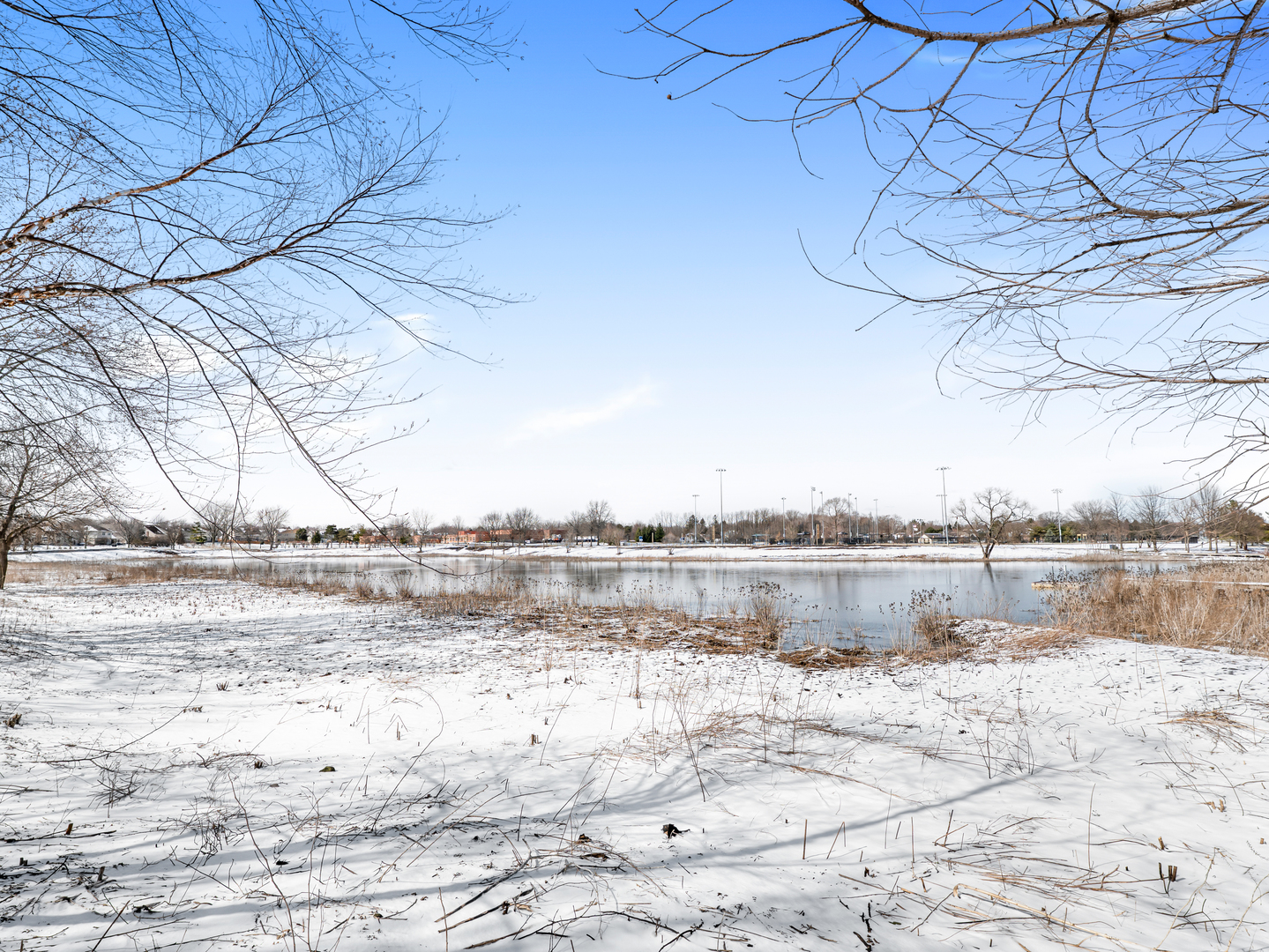 113 Dijon Court, Bloomingdale, IL 60108