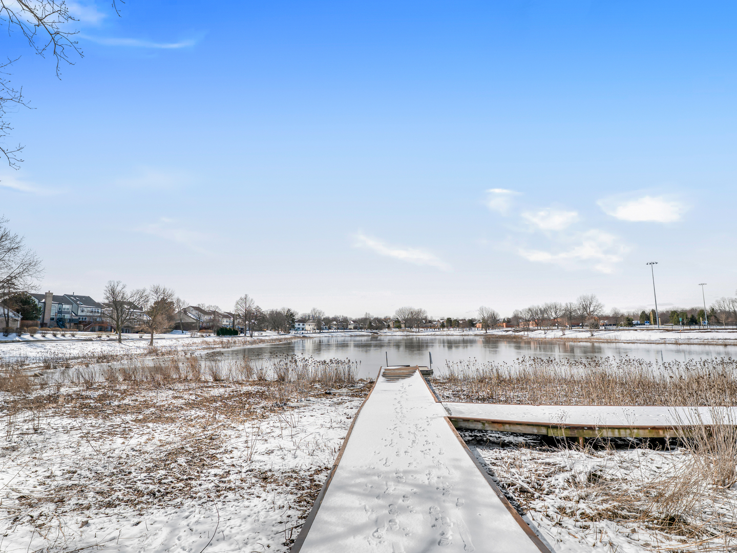 113 Dijon Court, Bloomingdale, IL 60108