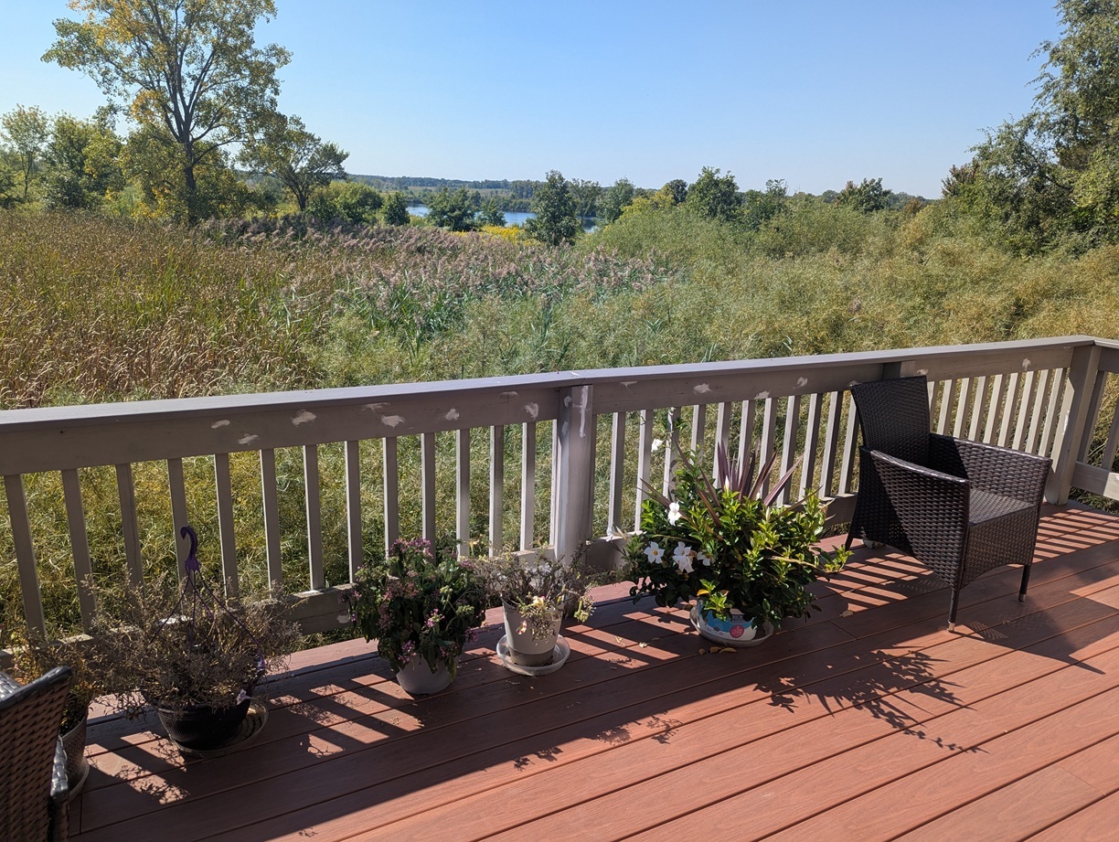 1811 Rizzi Lane #1811, Bartlett, IL 60103