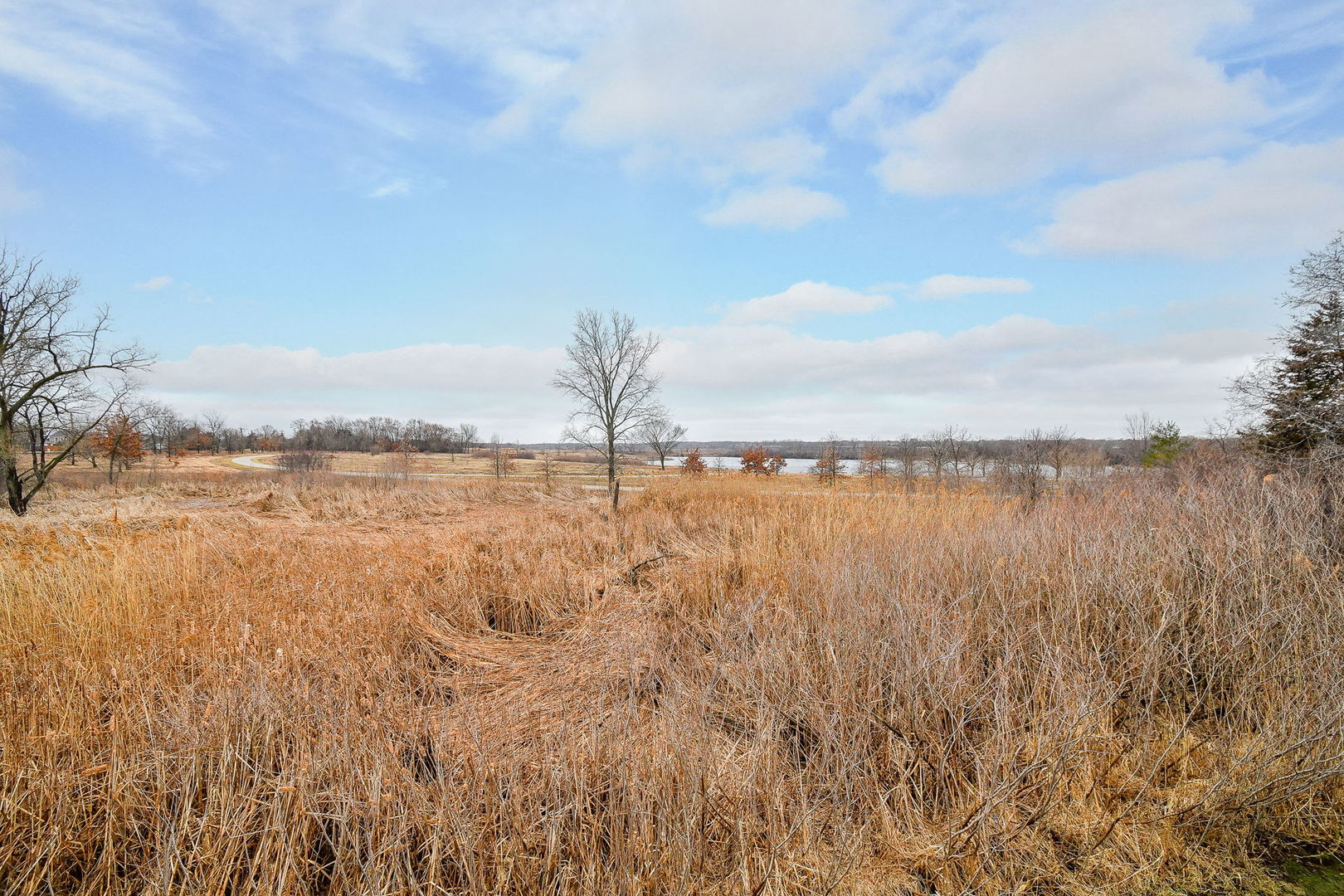 1811 Rizzi Lane #1811, Bartlett, IL 60103