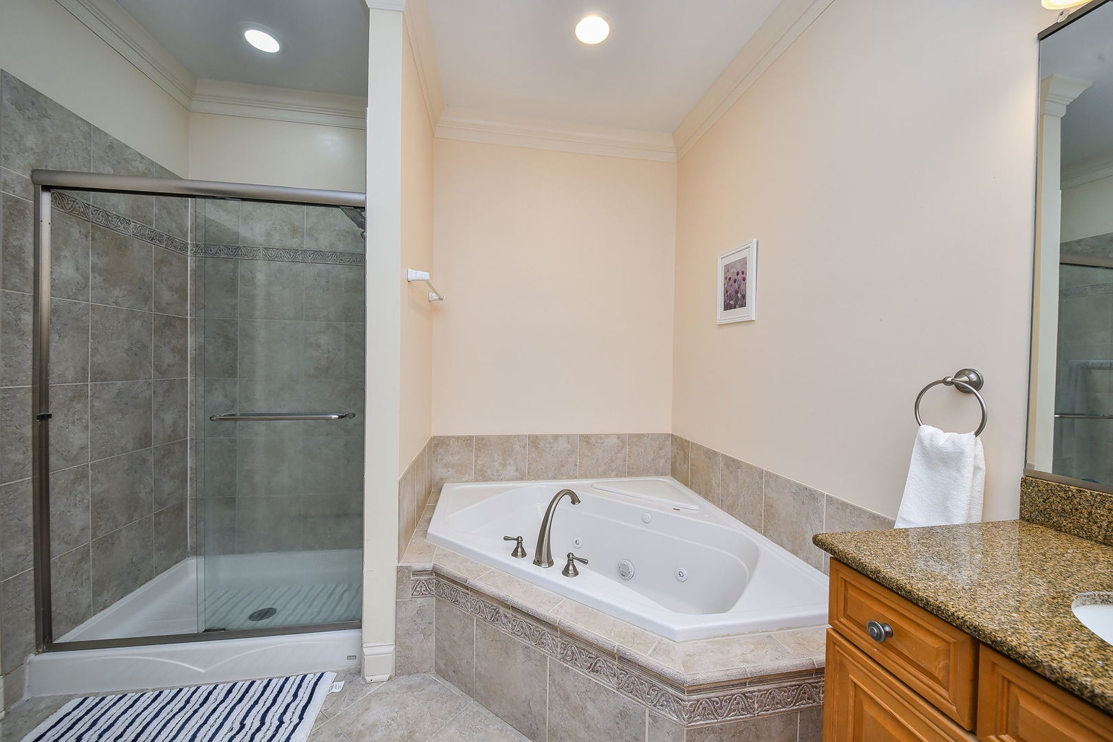 1811 Rizzi Lane #1811, Bartlett, IL 60103