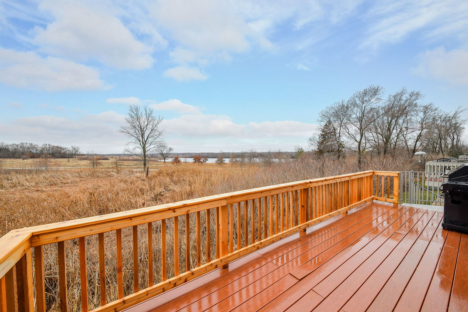 1811 Rizzi Lane #1811, Bartlett, IL 60103