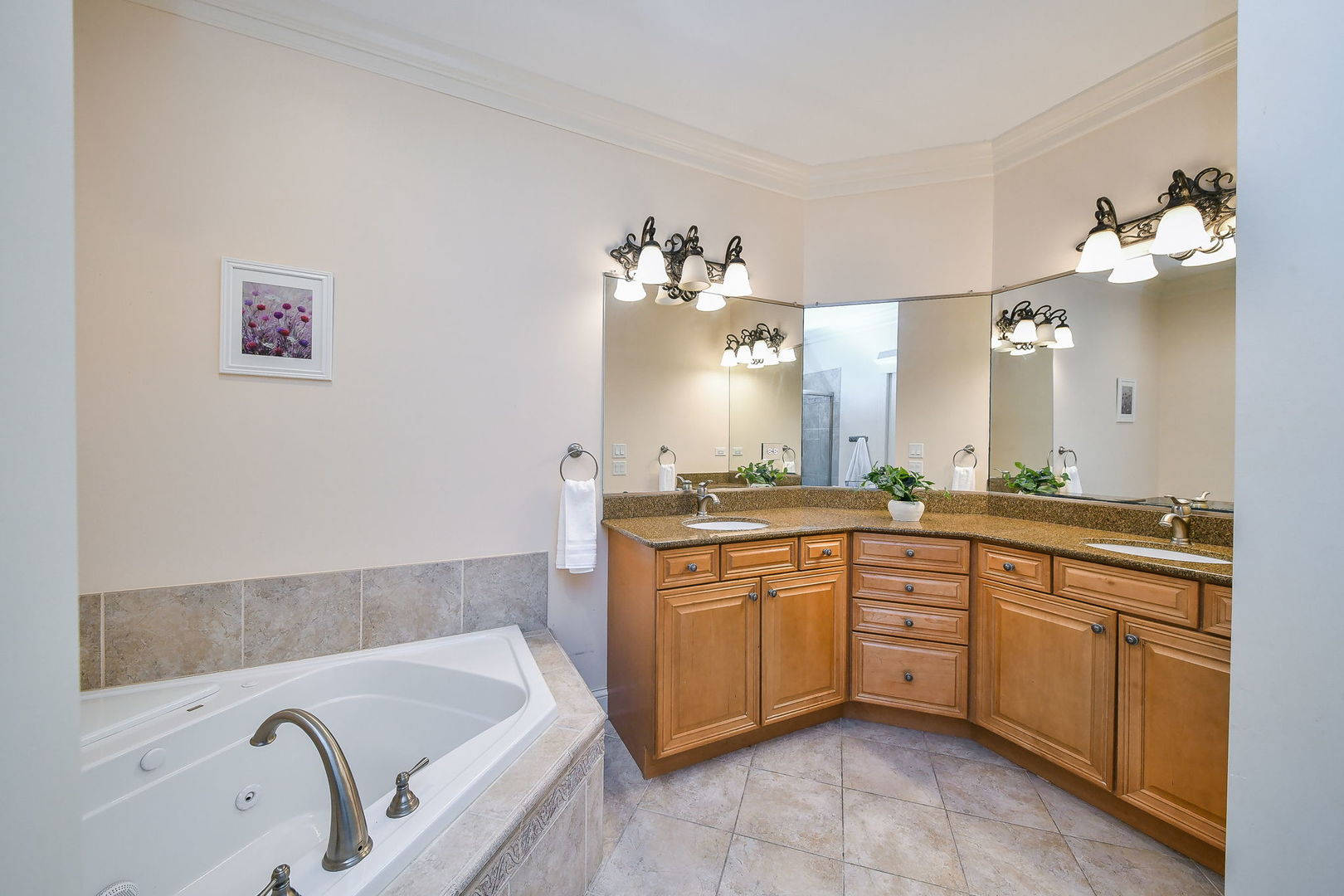 1811 Rizzi Lane #1811, Bartlett, IL 60103