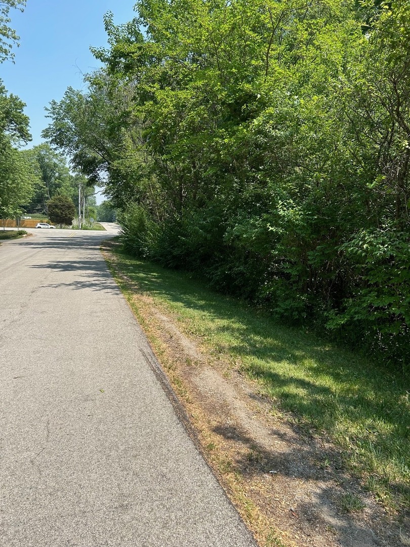 Lot Foster Avenue, Roselle, IL 60172
