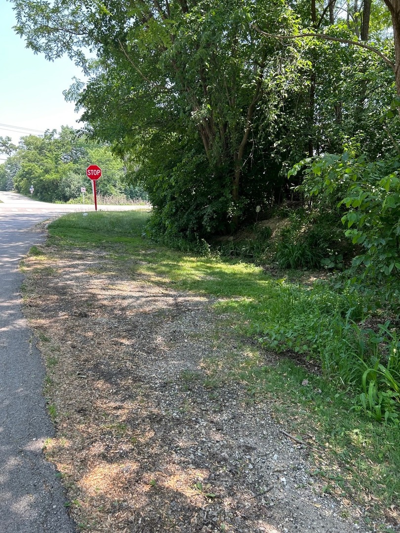 Lot Foster Avenue, Roselle, IL 60172