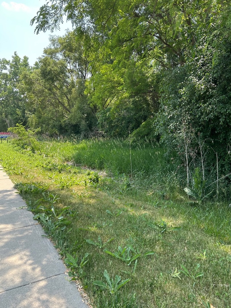 Lot Foster Avenue, Roselle, IL 60172