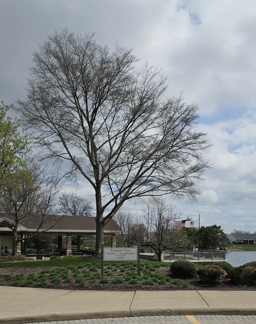 13567 Yellow Pine Drive, Huntley, IL 60142