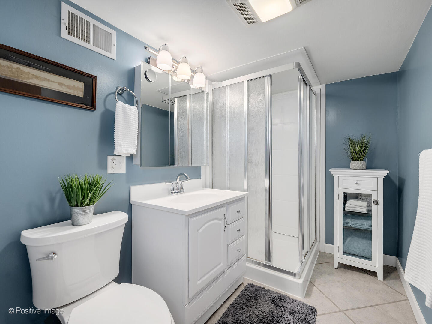 182 E Hale Street, Elmhurst, IL 60126