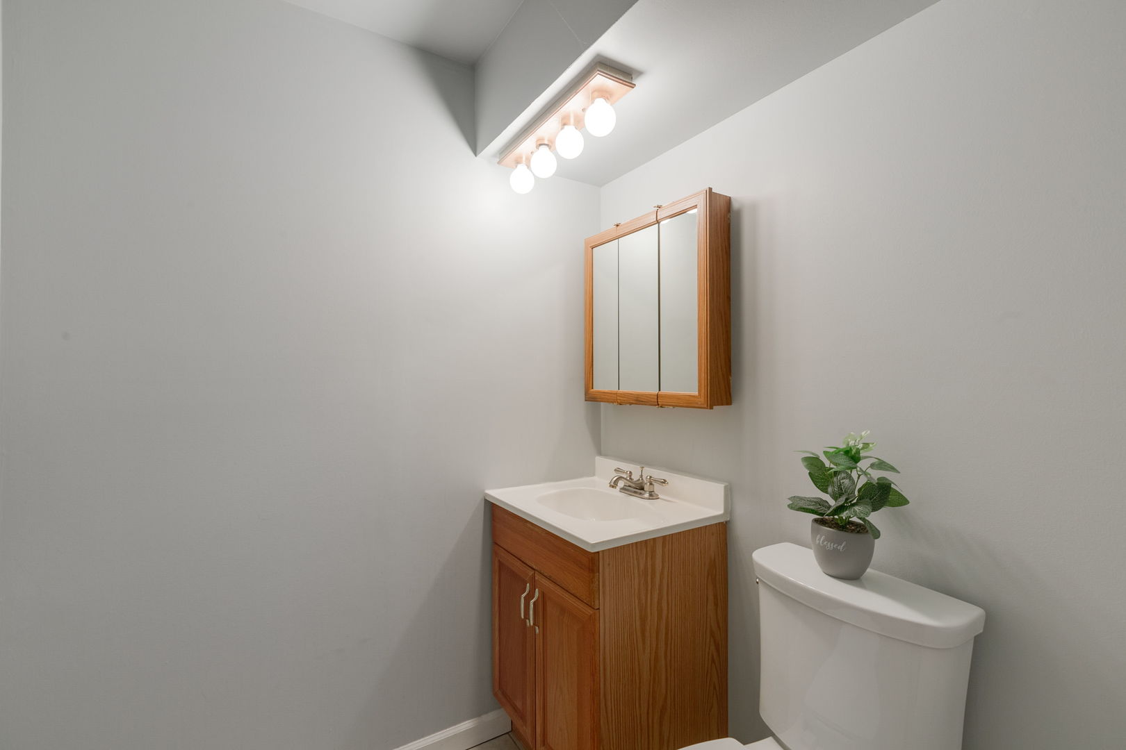 1421 Barberry Lane, Round Lake Beach, IL 60073