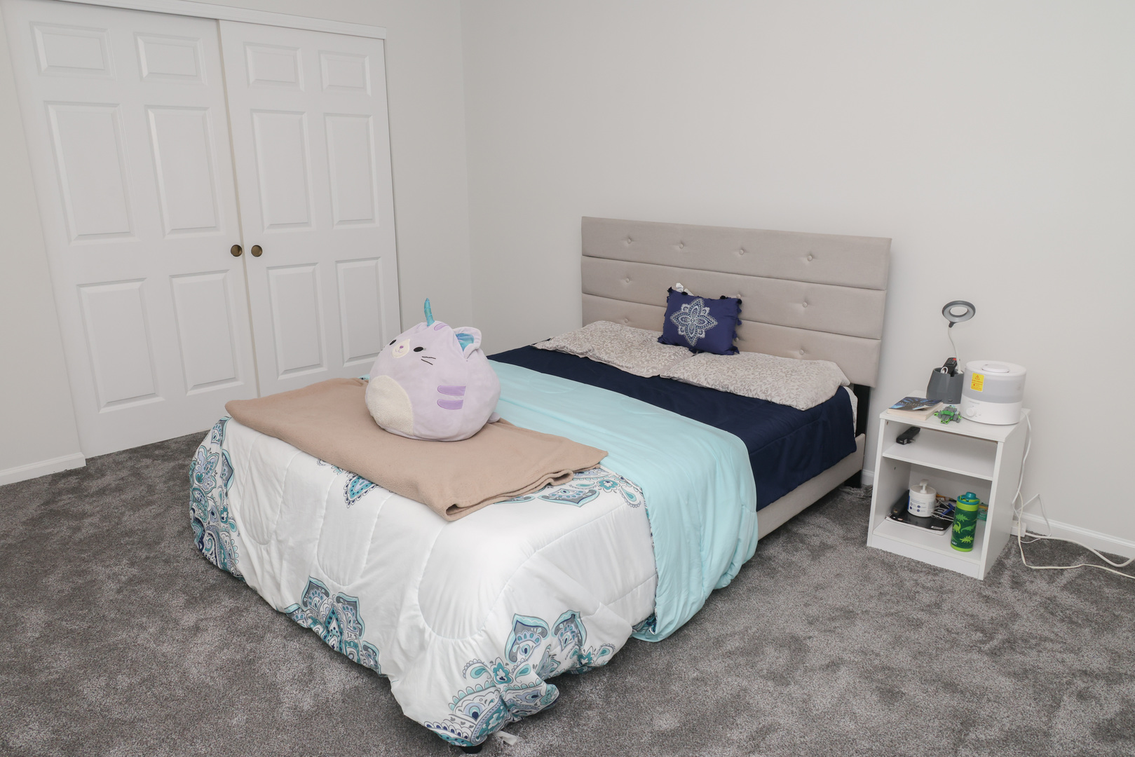 1011 Napa Lane, Aurora, IL 60502