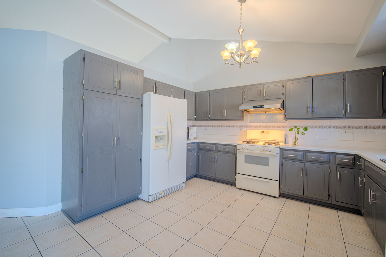 2813 Joe Adler Drive, Plainfield, IL 60586