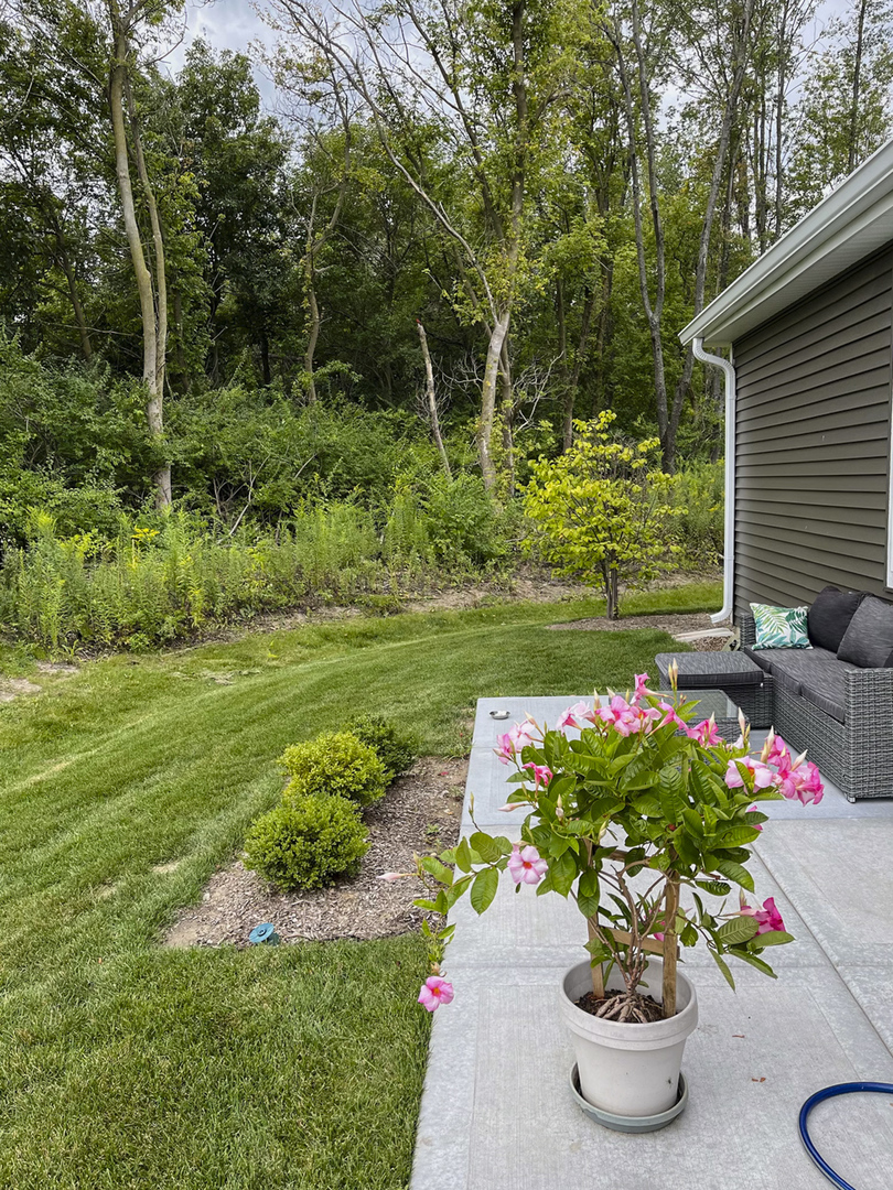 1175 Sonoma Court, Pingree Grove, IL 60140