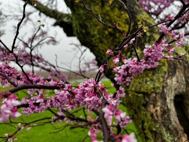 597 CR 100 E, Ivesdale, IL 61851