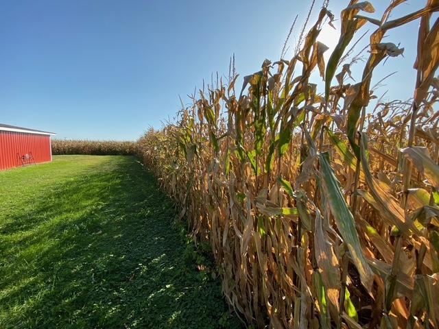 597 CR 100 E, Ivesdale, IL 61851