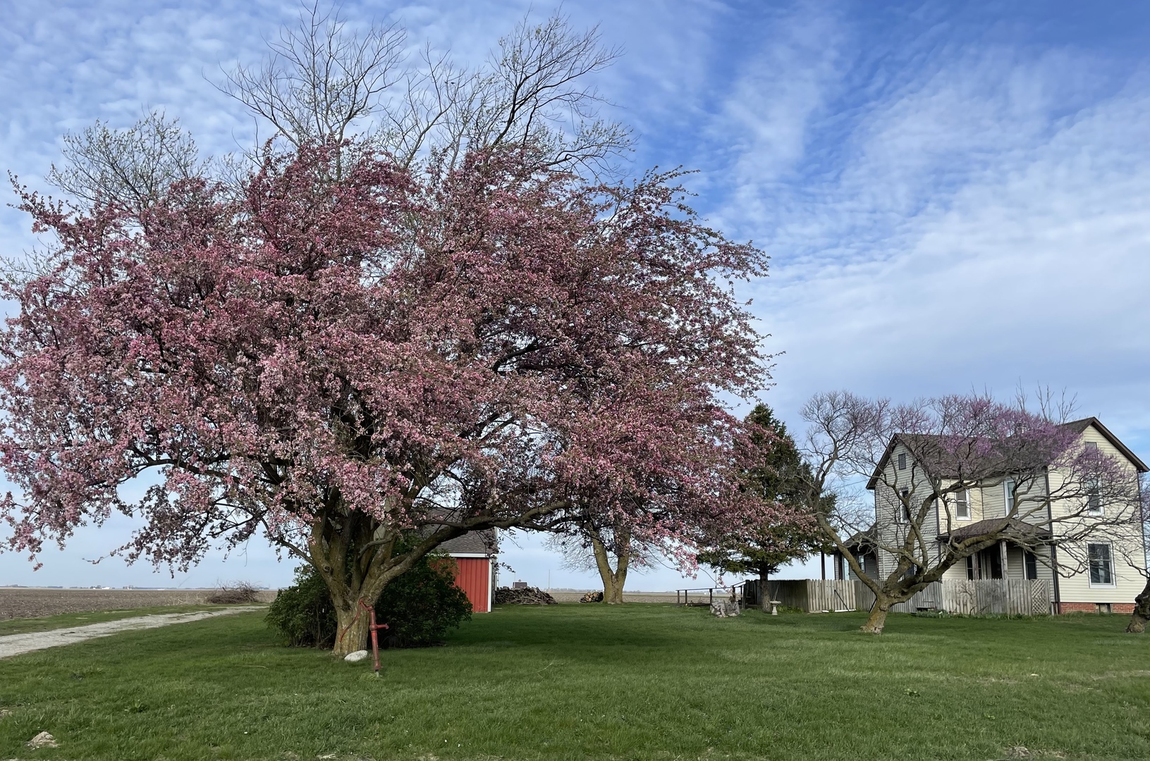 597 CR 100 E, Ivesdale, IL 61851