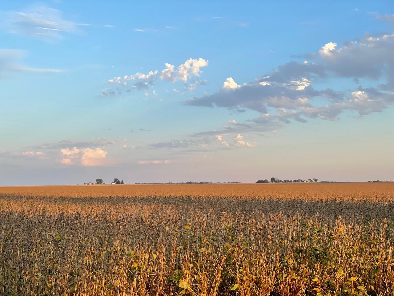 597 CR 100 E, Ivesdale, IL 61851