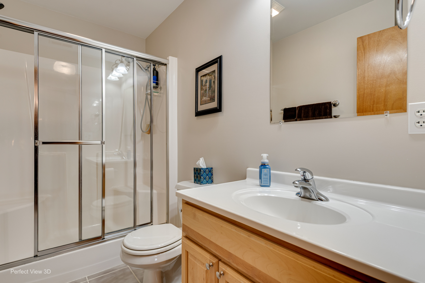 24802 S Elsie Street, Channahon, IL 60410