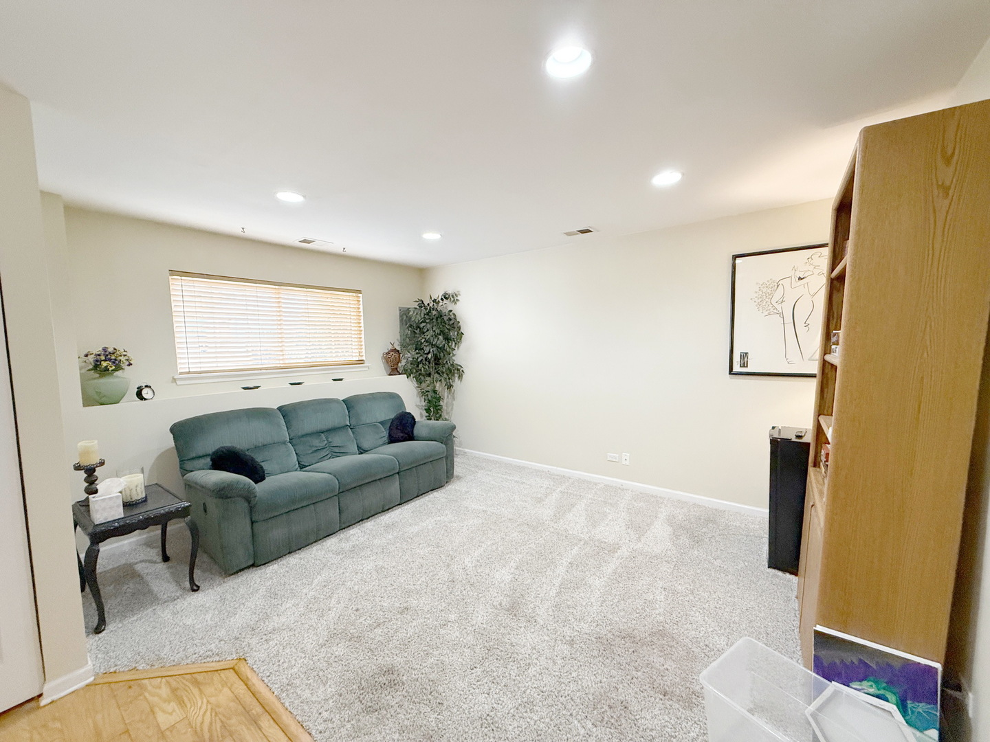 492 Holiday Lane, Hainesville, IL 60073