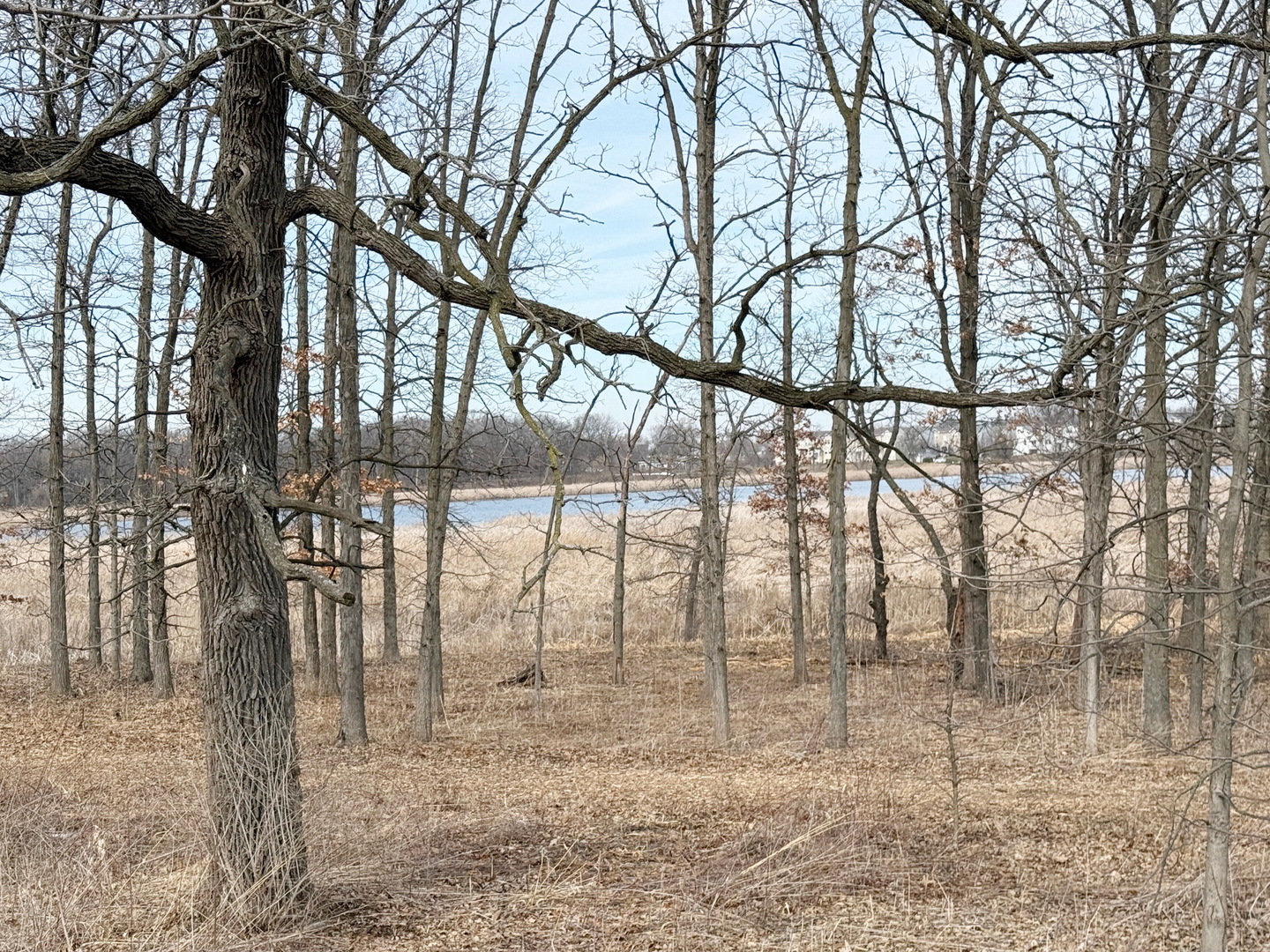 492 Holiday Lane, Hainesville, IL 60073